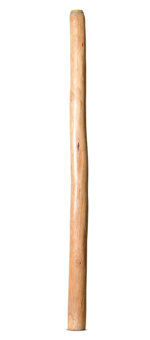 Medium Size Natural Finish Didgeridoo (TW1601)